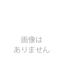 下ルーバー シルバー 日立 IHクッキングヒーター部材オプション　≪HT-D4GS≫